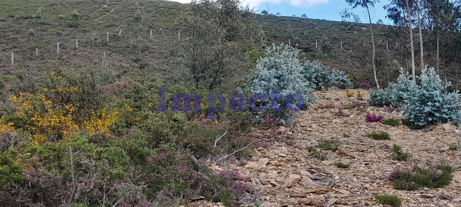 Terreno para Venda em Milheiros de Poiares Foto 1