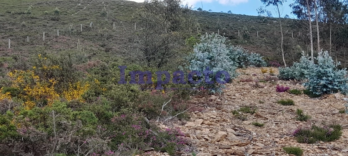 Terreno para Venda em Milheiros de Poiares