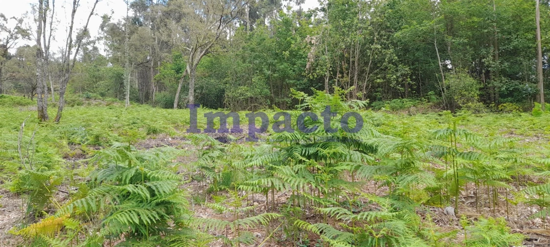 Terreno para Venda em Milheiros de Poiares Foto 7