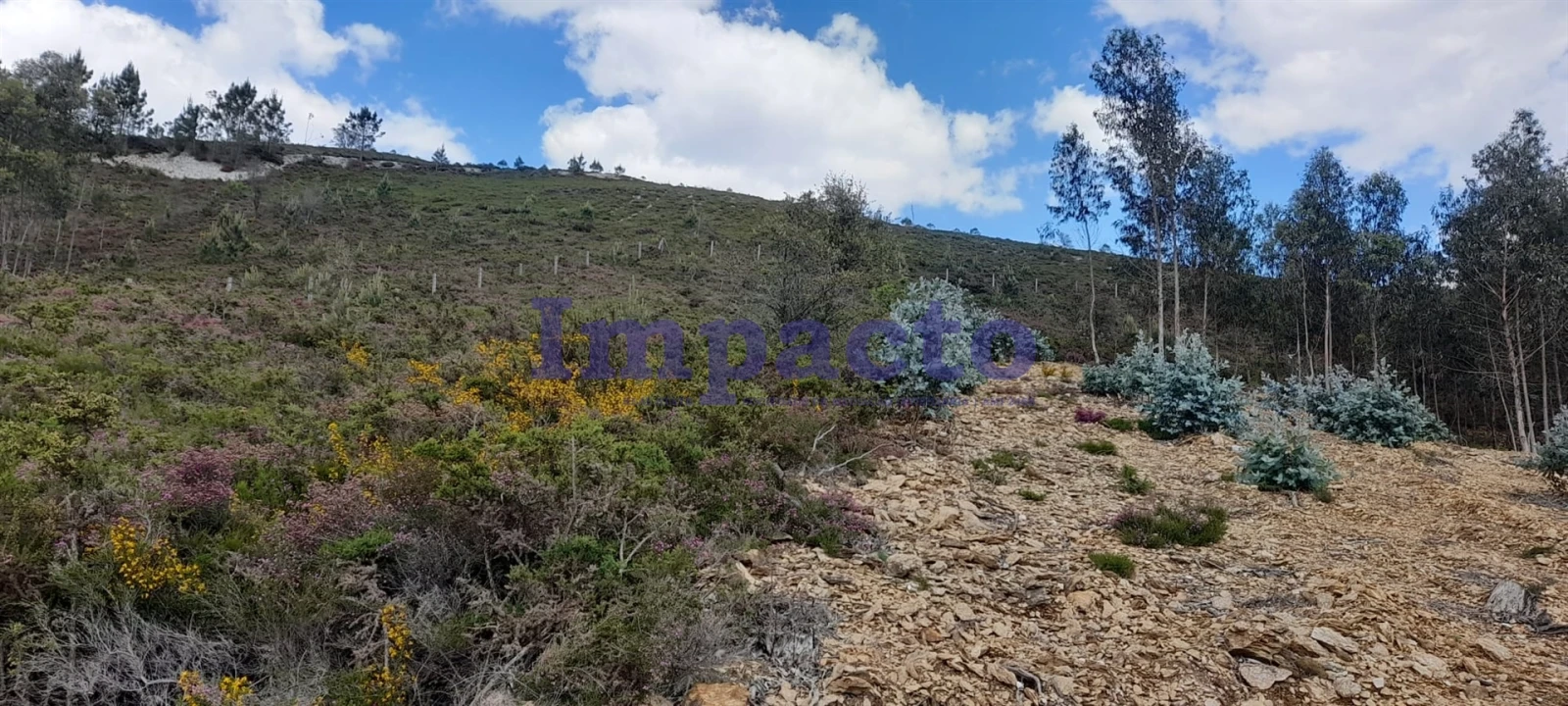 Terreno para Venda em Milheiros de Poiares Foto 5