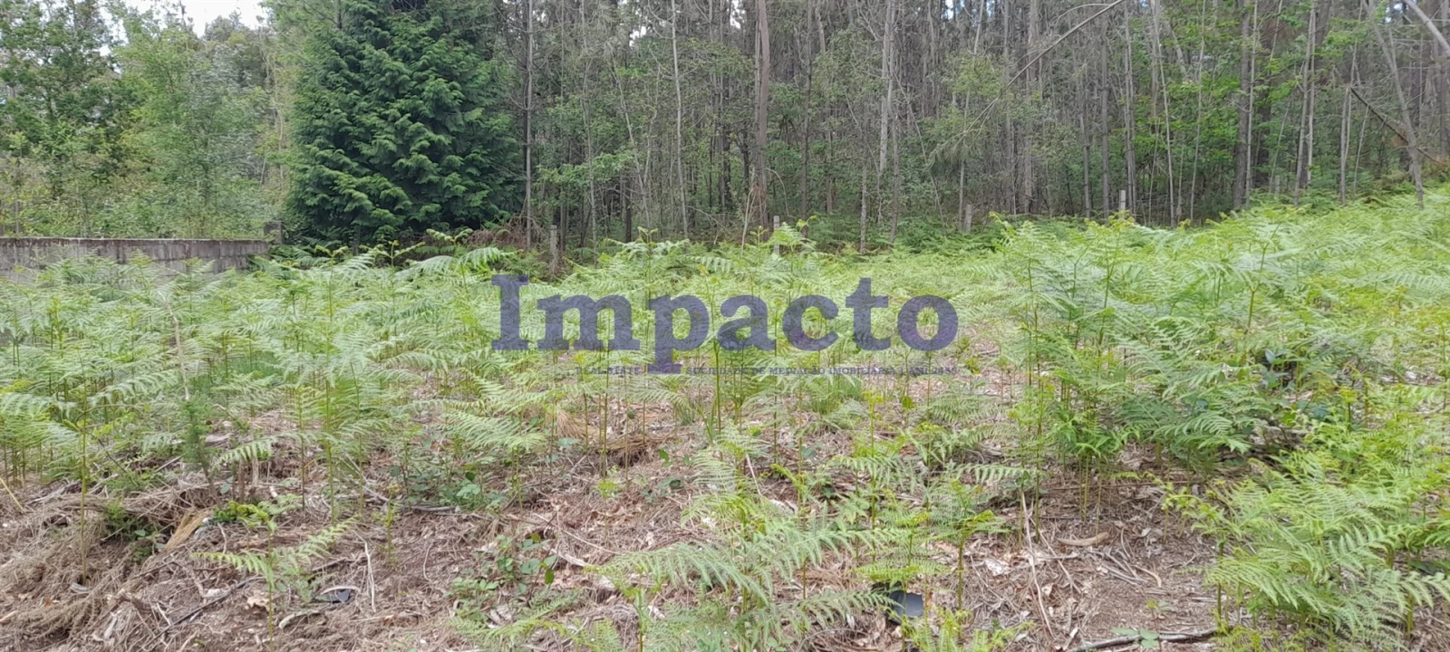 Terreno para Venda em Milheiros de Poiares Foto 3