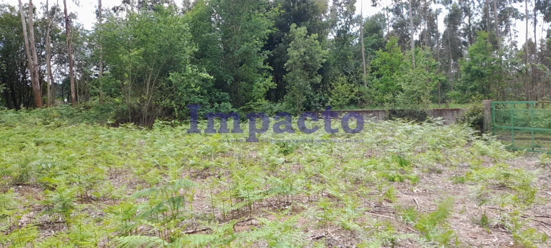 Terreno para Venda em Milheiros de Poiares Foto 10