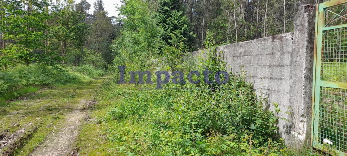 Terreno para Venda em Milheiros de Poiares Foto 16