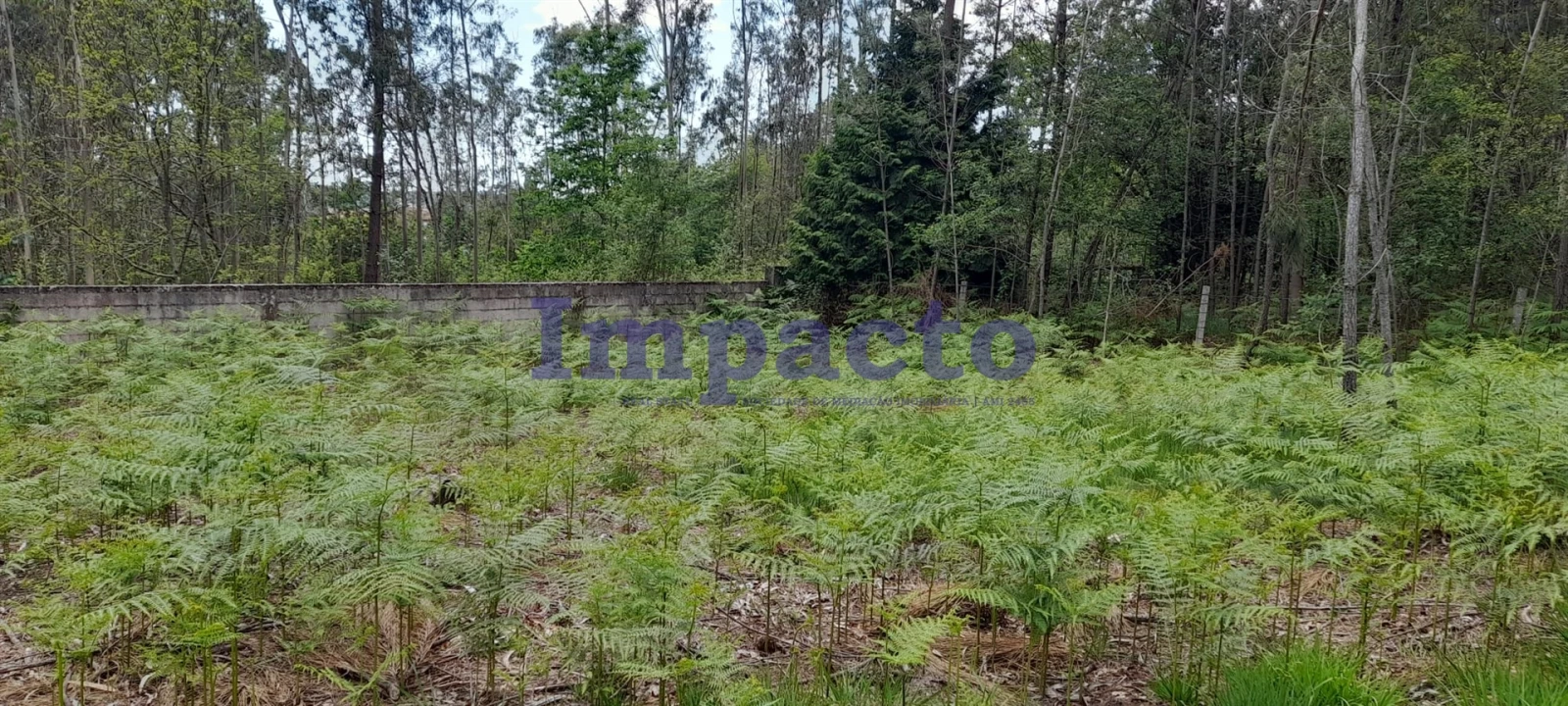 Terreno para Venda em Milheiros de Poiares Foto 8