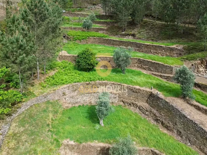 Moradia T2 para Venda em Real Foto 7