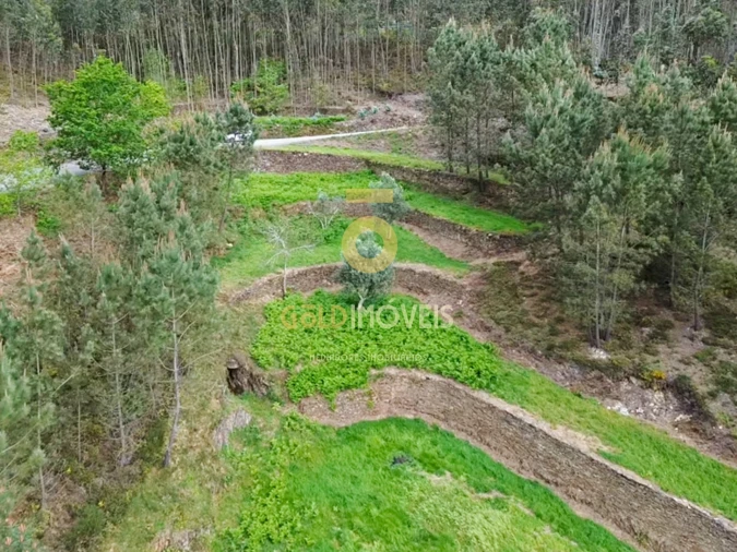 Moradia T2 para Venda em Real Foto 12