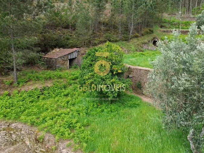 Moradia T2 para Venda em Real Foto 14