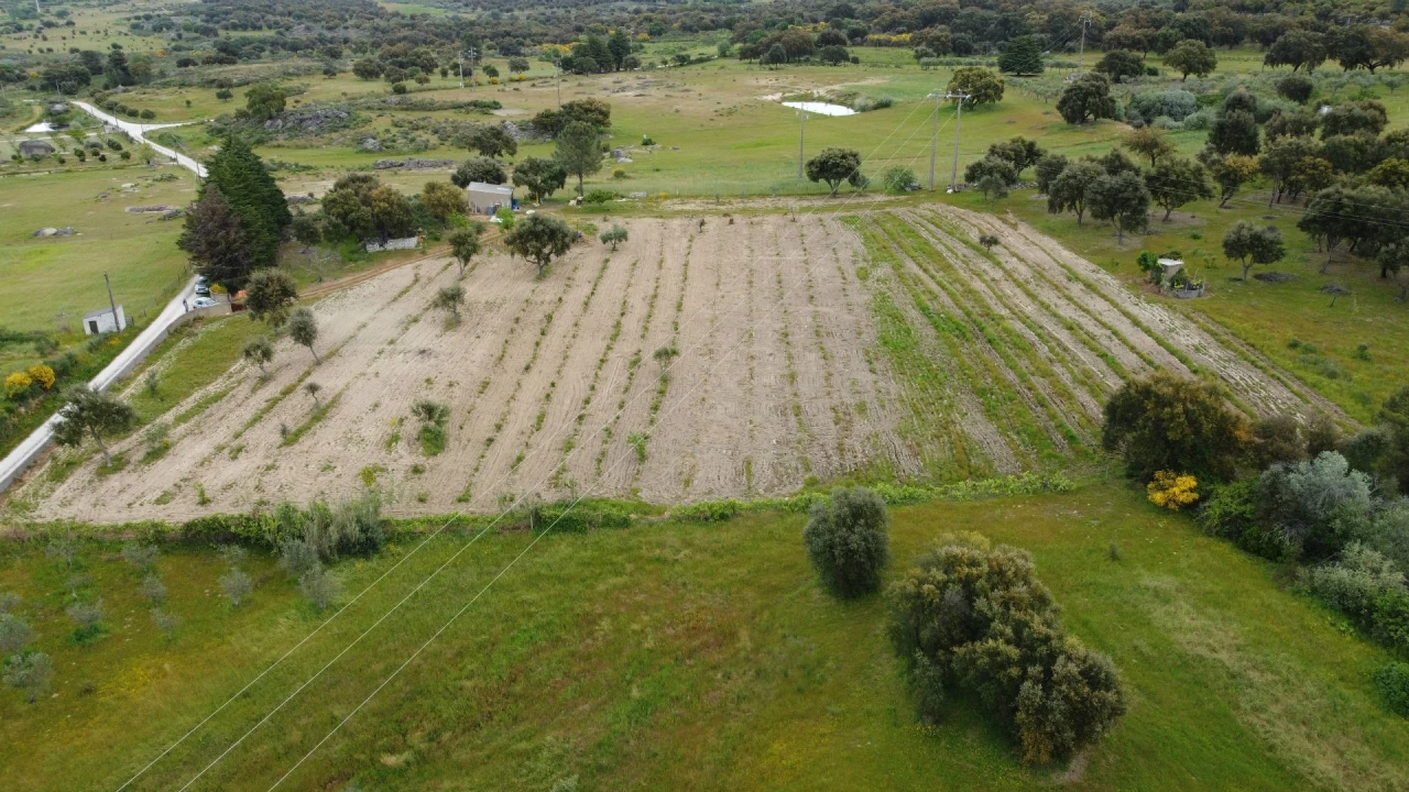 Quinta T0 para Venda em Castelo Branco Foto 13