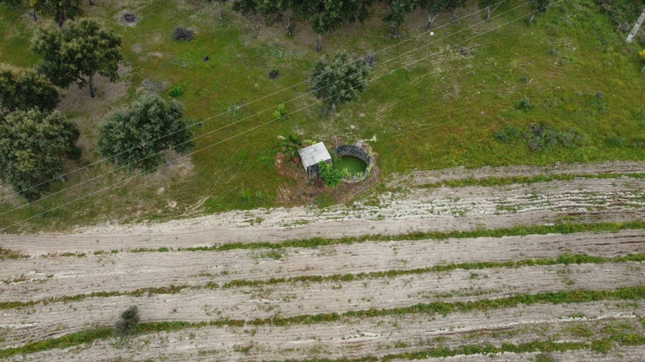 Quinta T0 para Venda em Castelo Branco Foto 10