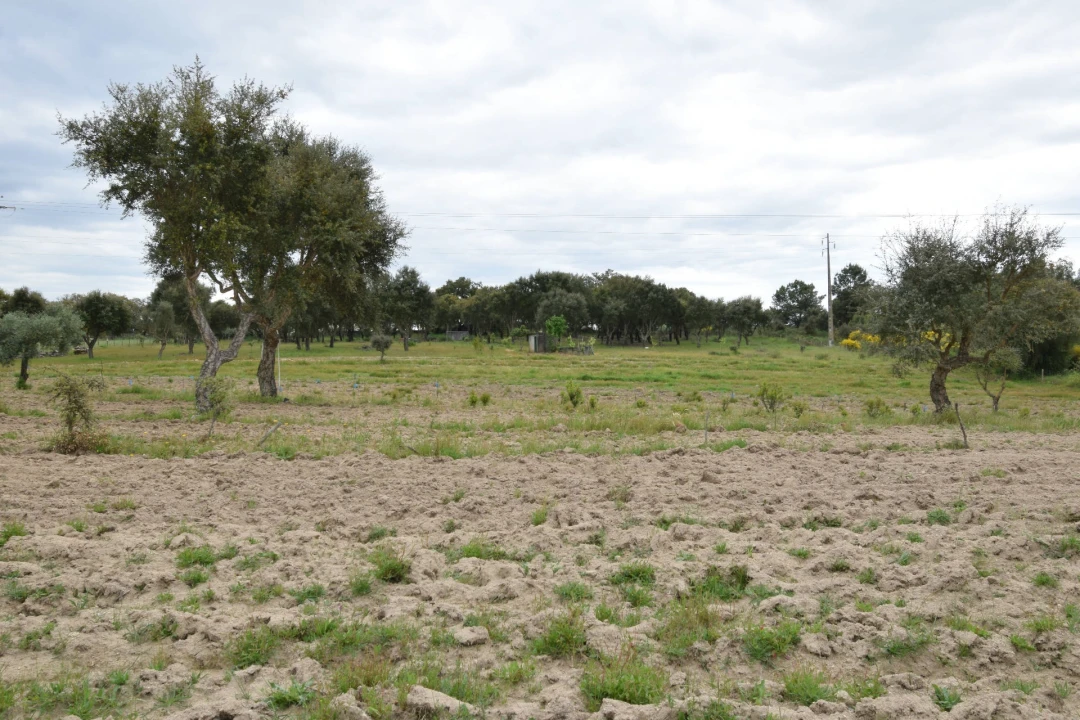 Quinta T0 para Venda em Castelo Branco Foto 15