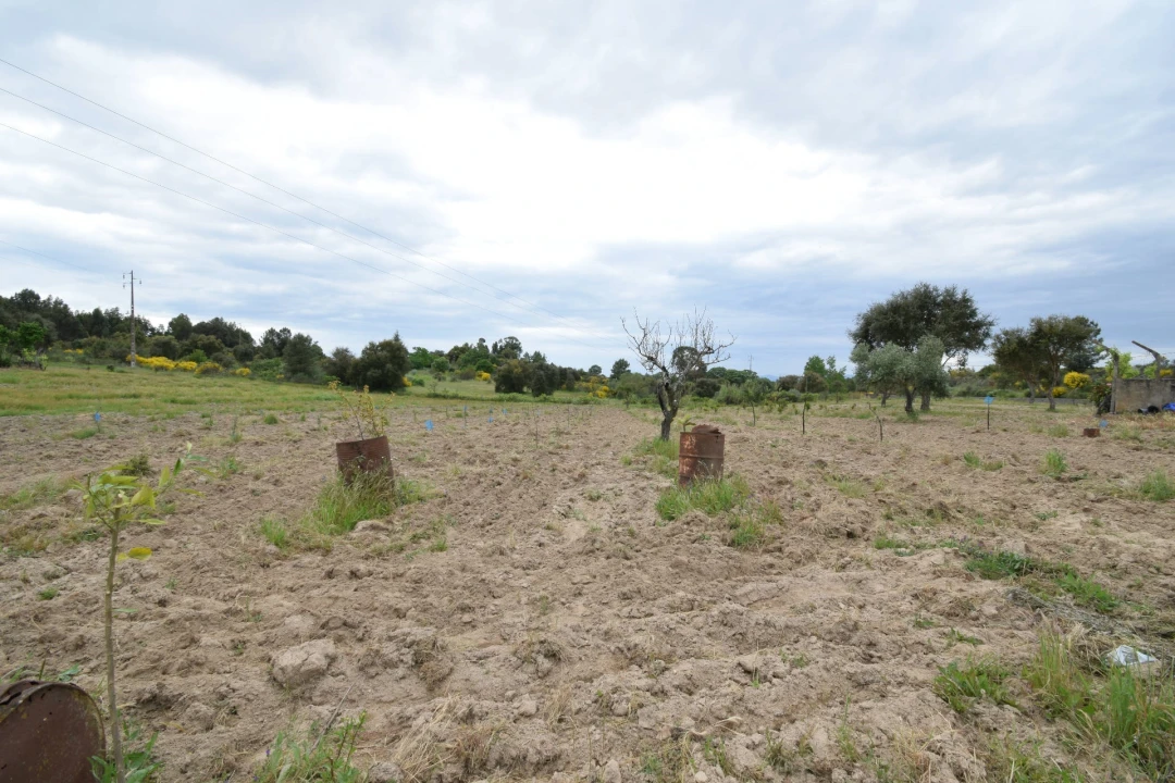 Quinta T0 para Venda em Castelo Branco Foto 21