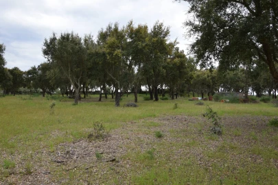 Quinta T0 para Venda em Castelo Branco