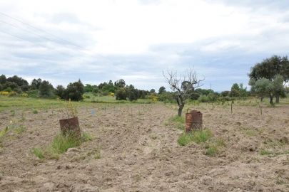 Quinta T0 para Venda em Castelo Branco