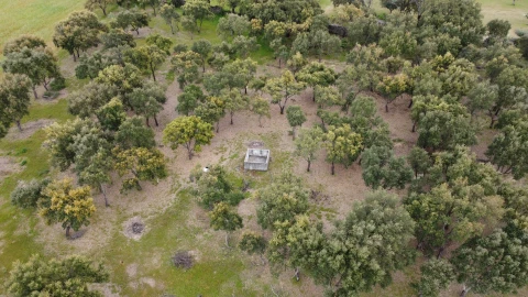 Quinta T0 para Venda em Castelo Branco