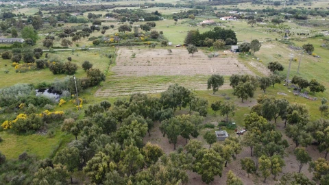 Quinta T0 para Venda em Castelo Branco