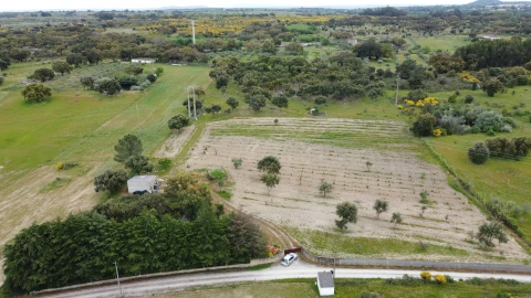 Quinta T0 para Venda em Castelo Branco