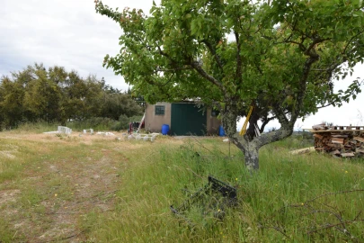 Quinta T0 para Venda em Castelo Branco