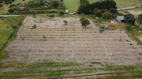 Quinta T0 para Venda em Castelo Branco