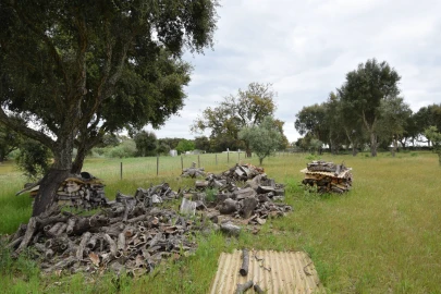 Quinta T0 para Venda em Castelo Branco