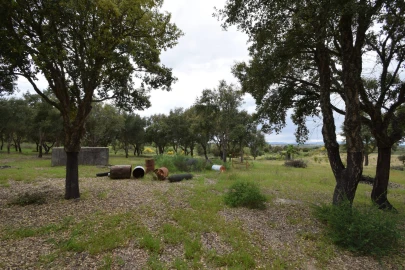 Quinta T0 para Venda em Castelo Branco