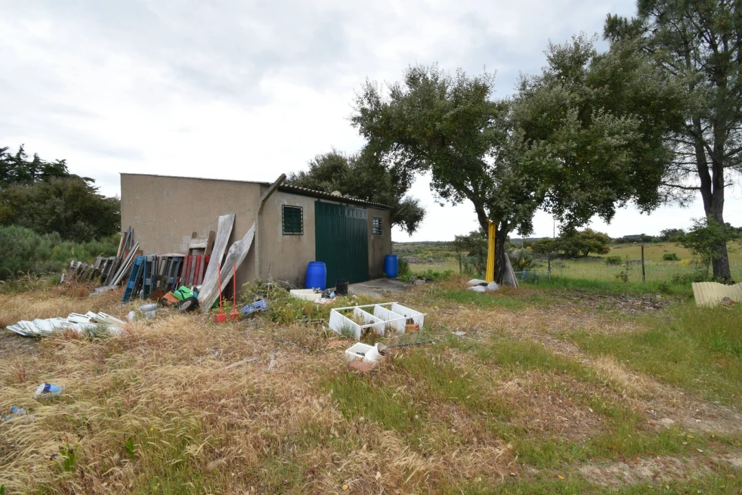 Quinta T0 para Venda em Castelo Branco Foto 6