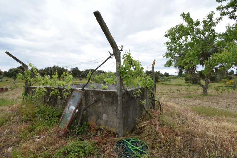 Quinta T0 para Venda em Castelo Branco Foto 18