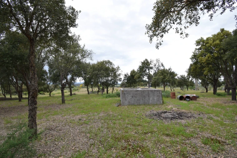 Quinta T0 para Venda em Castelo Branco Foto 28