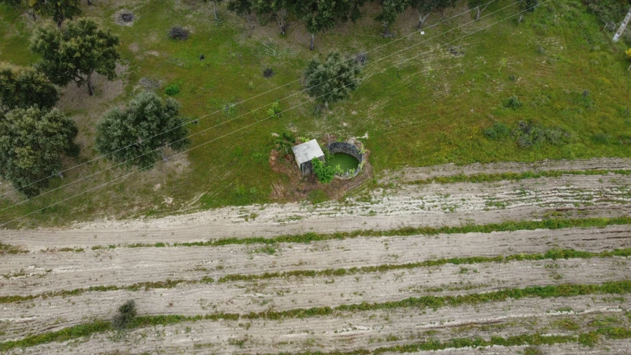 Quinta T0 para Venda em Castelo Branco Foto 10