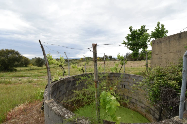 Quinta T0 para Venda em Castelo Branco Foto 4