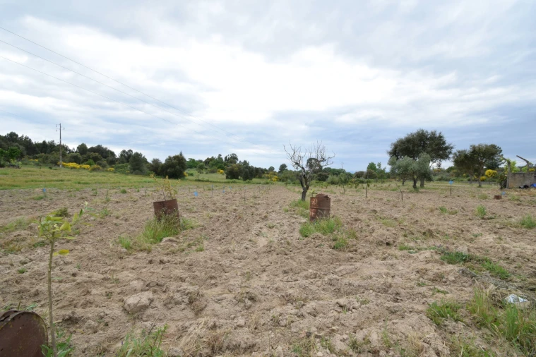 Quinta T0 para Venda em Castelo Branco Foto 21