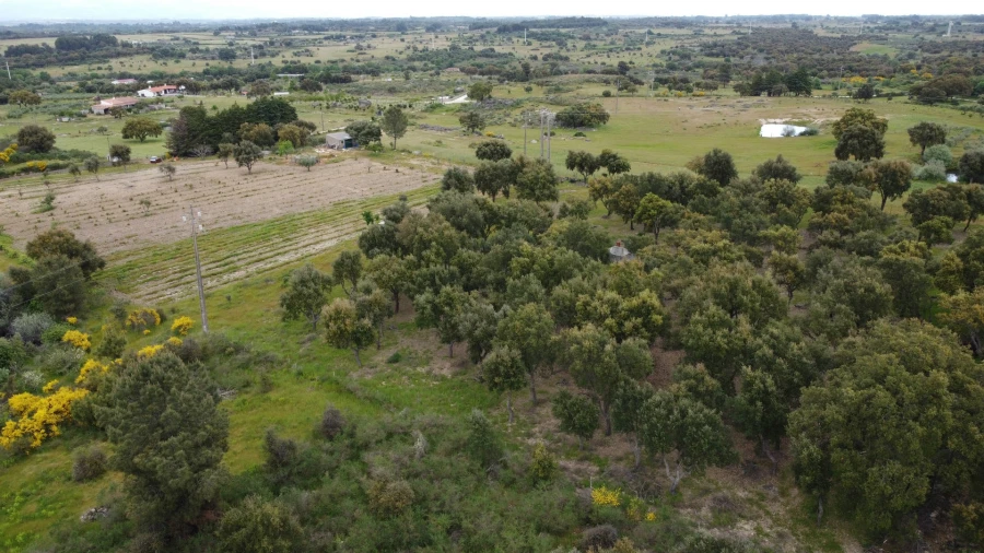 Quinta T0 para Venda em Castelo Branco Foto 7