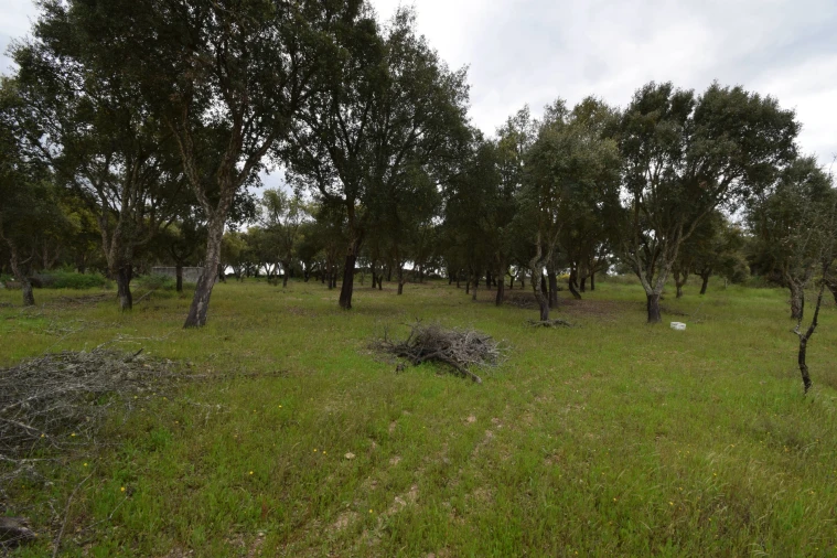 Quinta T0 para Venda em Castelo Branco Foto 25