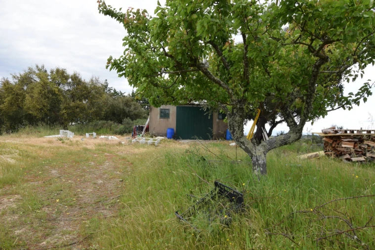 Quinta T0 para Venda em Castelo Branco Foto 5