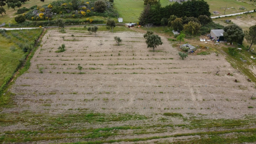 Quinta T0 para Venda em Castelo Branco Foto 12