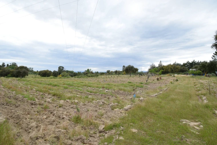 Quinta T0 para Venda em Castelo Branco Foto 23