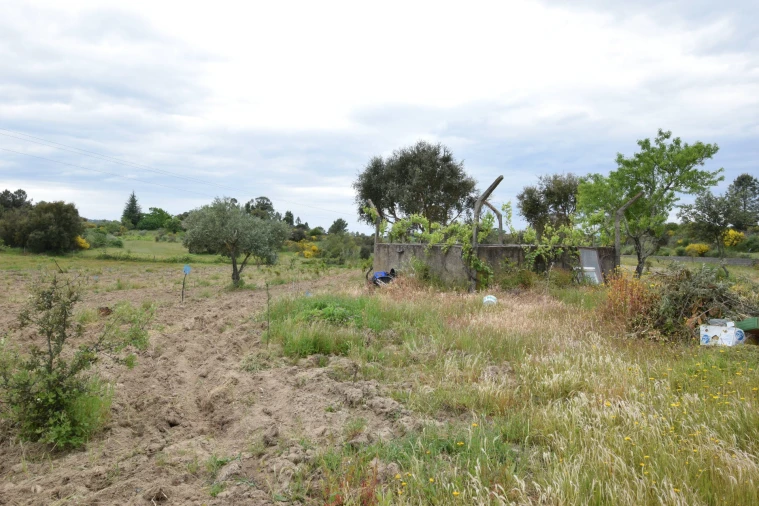 Quinta T0 para Venda em Castelo Branco Foto 19