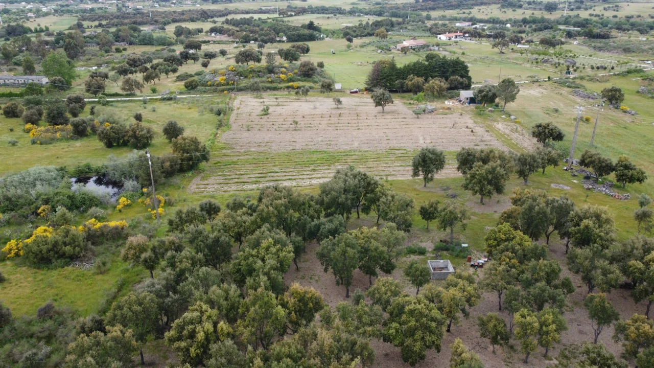 Quinta T0 para Venda em Castelo Branco Foto 8