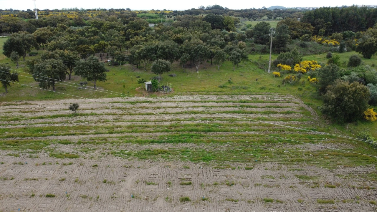 Quinta T0 para Venda em Castelo Branco Foto 2