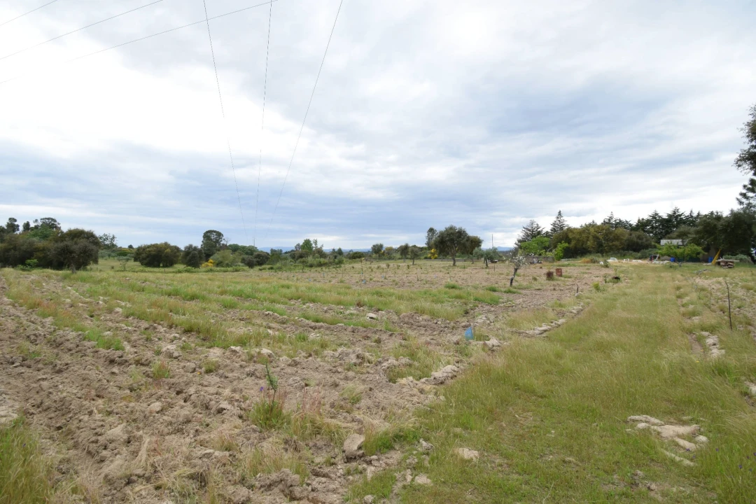 Quinta T0 para Venda em Castelo Branco Foto 23