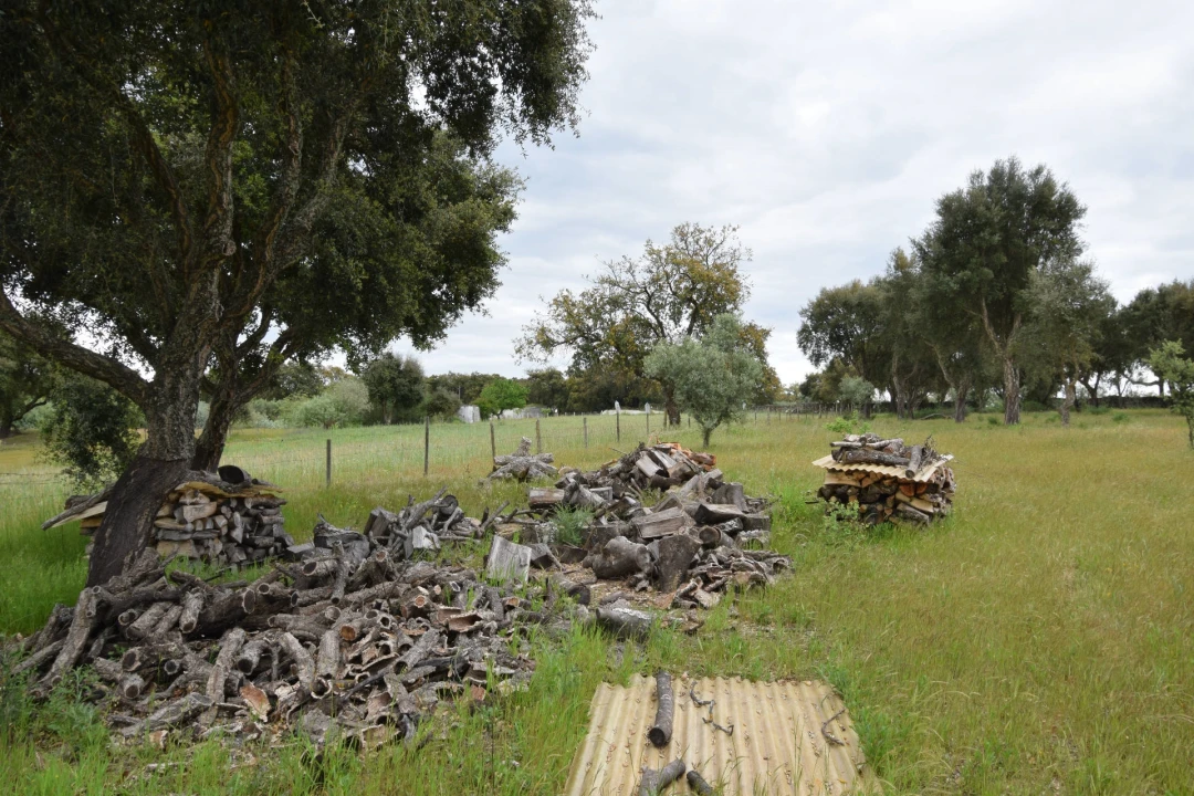 Quinta T0 para Venda em Castelo Branco Foto 31