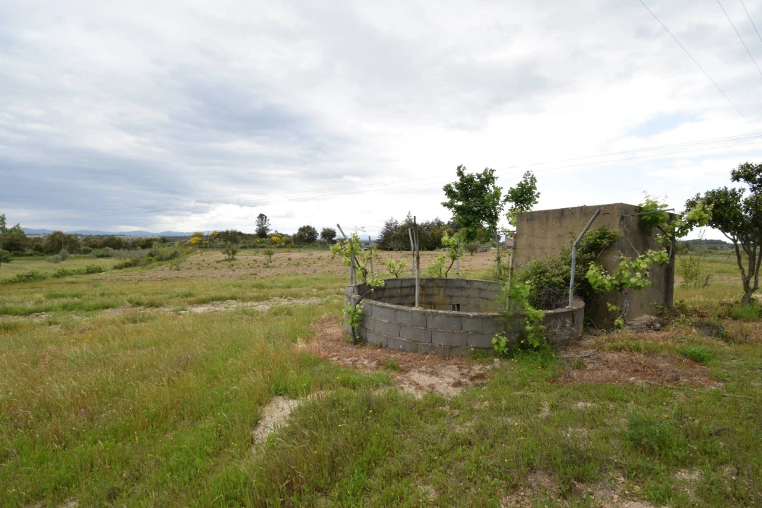 Quinta T0 para Venda em Castelo Branco Foto 3