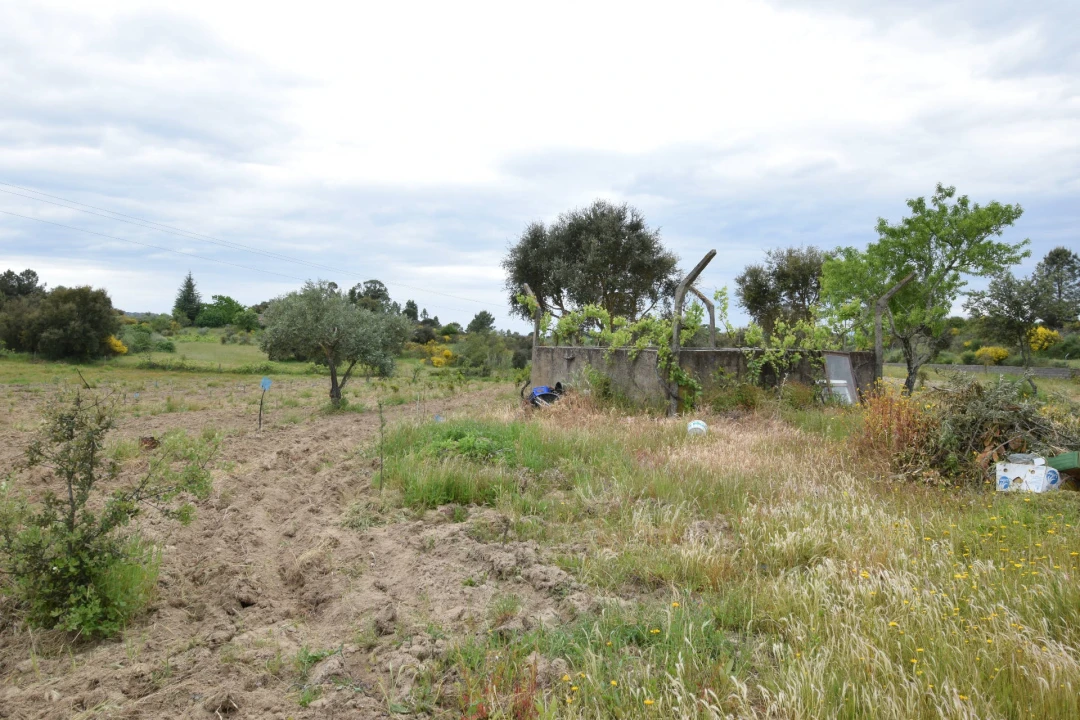 Quinta T0 para Venda em Castelo Branco Foto 19