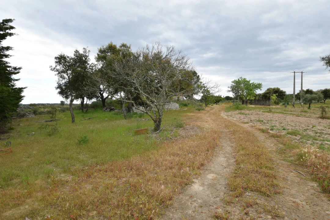 Quinta T0 para Venda em Castelo Branco Foto 14