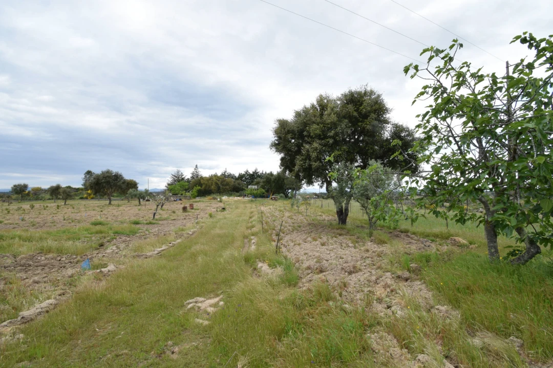 Quinta T0 para Venda em Castelo Branco Foto 22