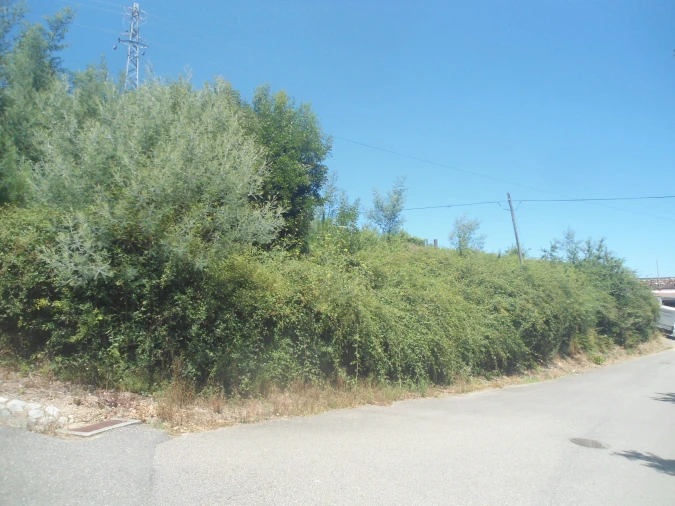 Terreno para Venda em Campos e Vila Meã Foto 2