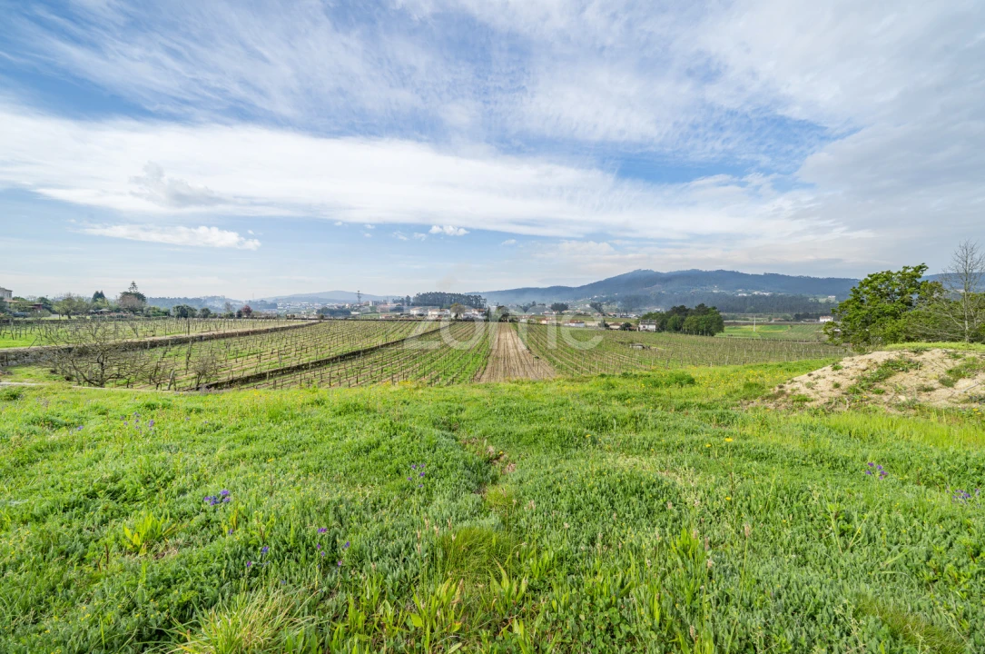 Terreno para Venda em Moure Foto 17