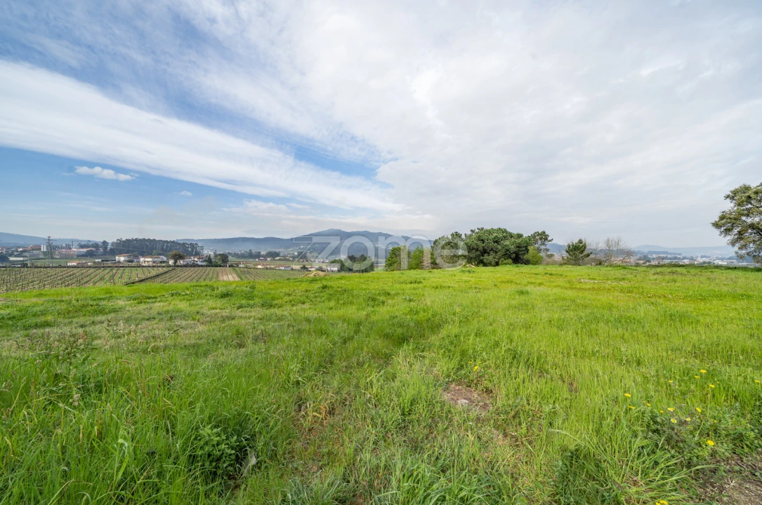 Terreno para Venda em Moure Foto 13