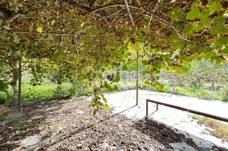 Moradia T5 para Venda em Pampilhosa da Serra Foto 36