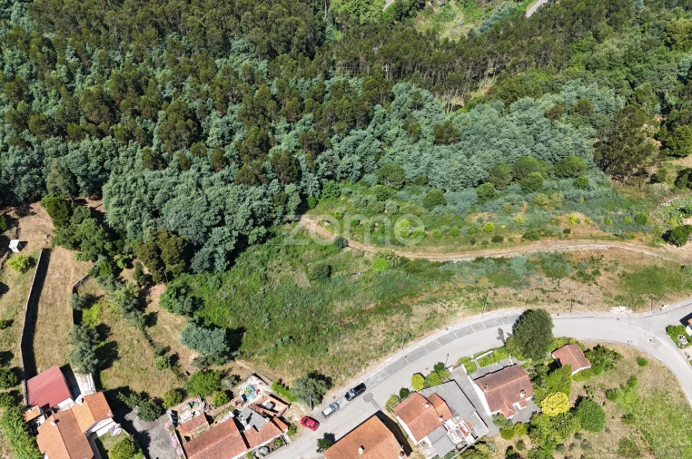 Terreno para Venda em Luso Foto 12
