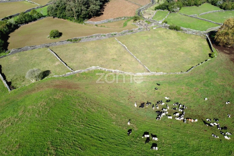 Terreno para Venda em Rabo de Peixe Foto 17